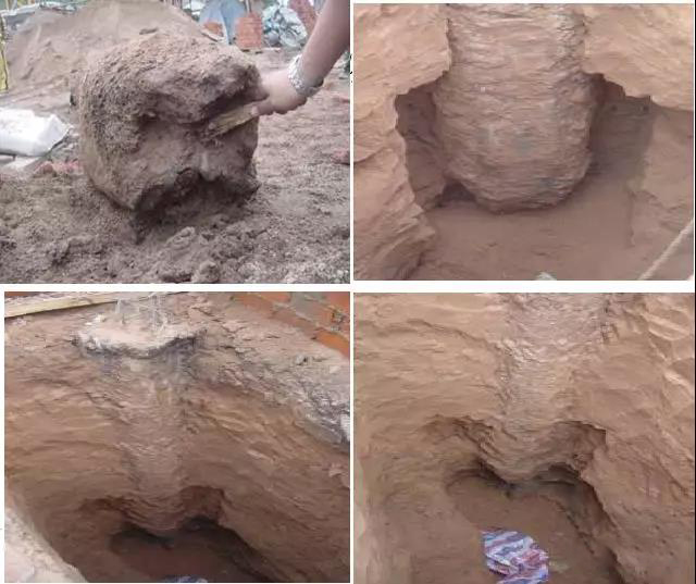 1605857721889238.jpg 微信圖片_20201120152900.jpg